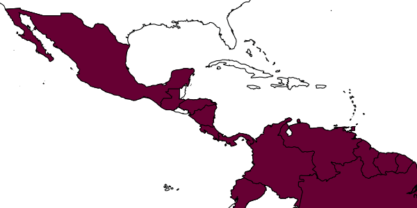 map of Azteca velox     Forel, 1899